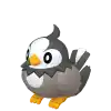 Starly