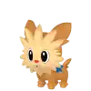 Lillipup