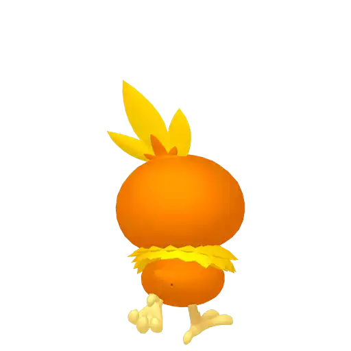 Torchic