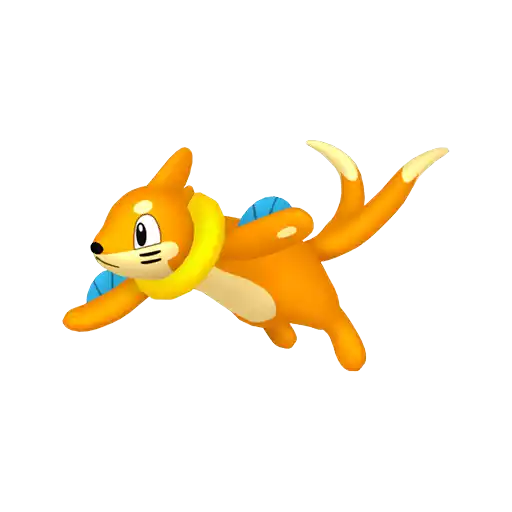 Buizel