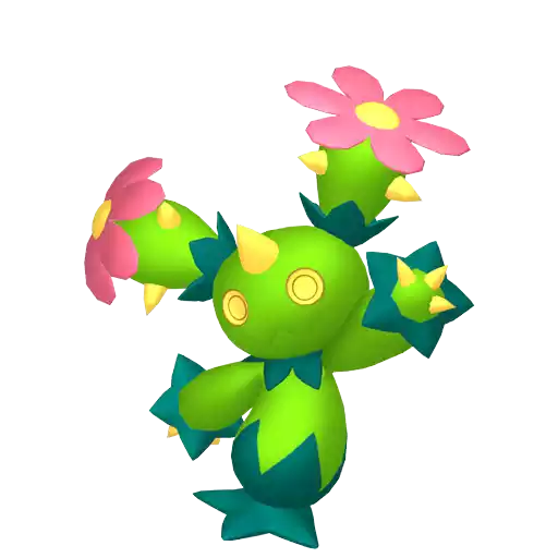 Maractus