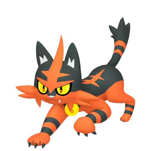 Torracat