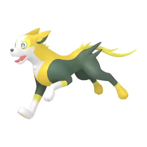 Boltund