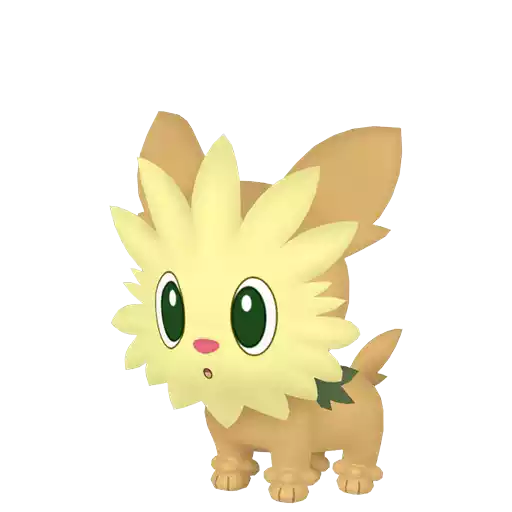 Shiny Lillipup