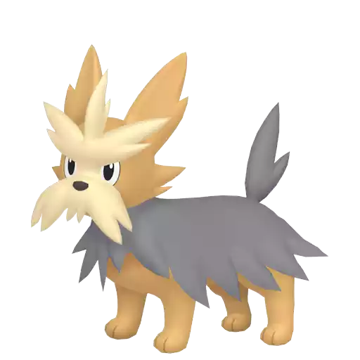 Shiny Herdier