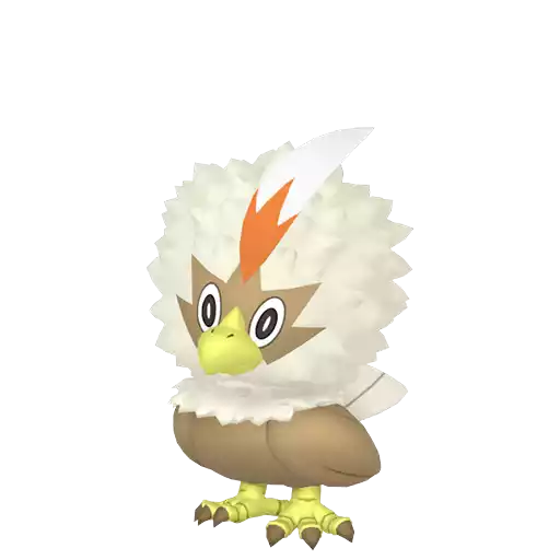 Shiny Rufflet
